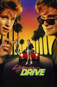 Best License to Drive wallpapers.