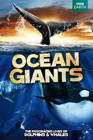 Best Ocean Giants wallpapers.