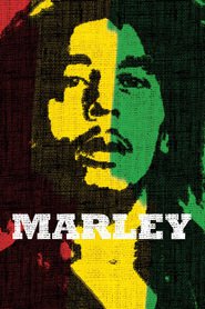 Best Marley wallpapers.