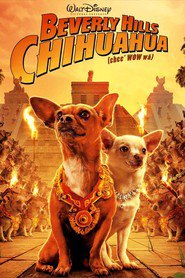Best Beverly Hills Chihuahua wallpapers.