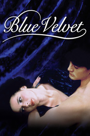 Best Blue Velvet wallpapers.