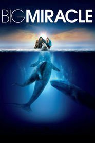 Best Big Miracle wallpapers.