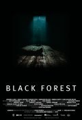 Best Black Forest wallpapers.