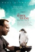 Best The Hawk Is Dying wallpapers.